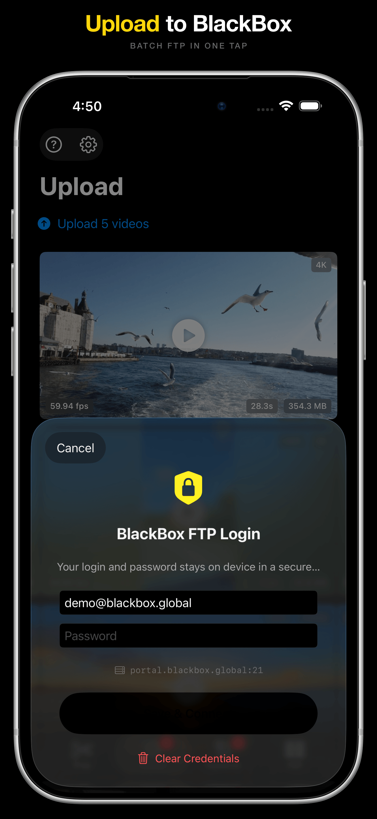 Brollr batch upload to BlackBox over FTP